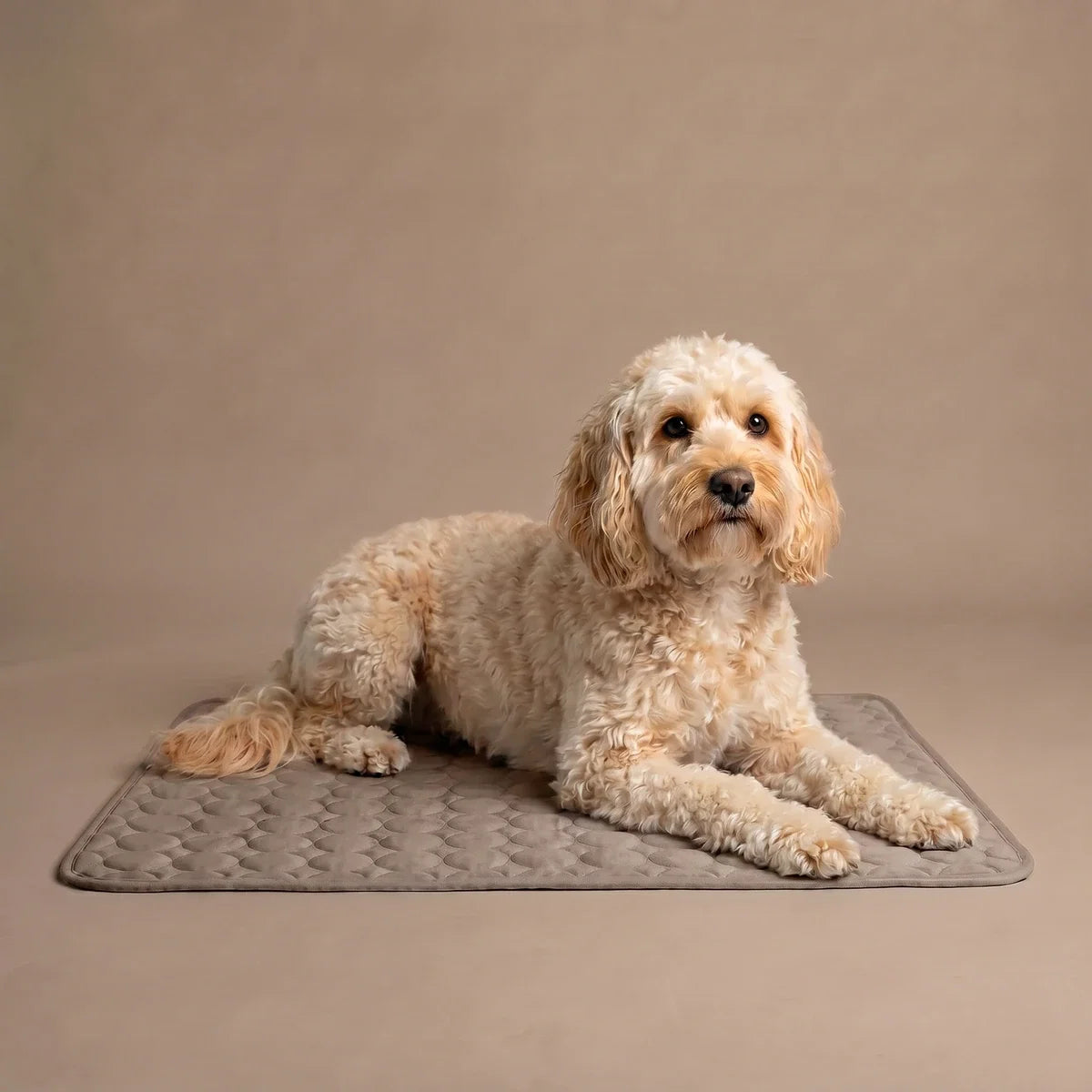 Plush Paws Co. Pressure-Activated Pet Cooling Mat – Gel-Free Washable Summer Sleeping Pad