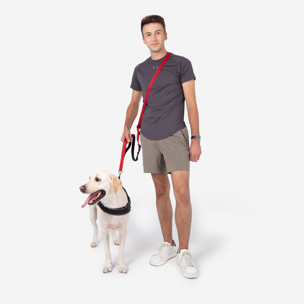 Multifunction Hands Free Dog Leash With Safety Seat Belt 8