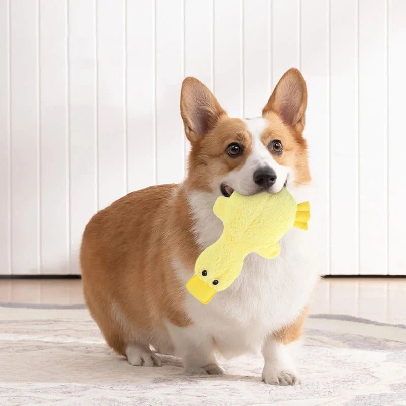 Plush Paws Co. Boredom Relief Pet Toy — Squeaky Duck Plush Companion