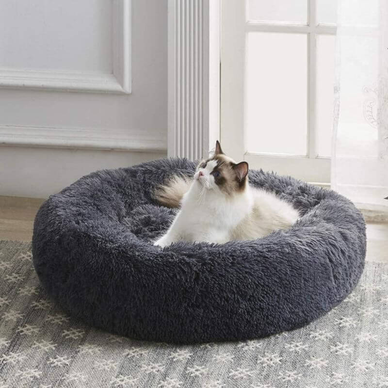 Anxiety Relieving Cat Bed That Helps Cats Stay Calm And Sleep Peacefully