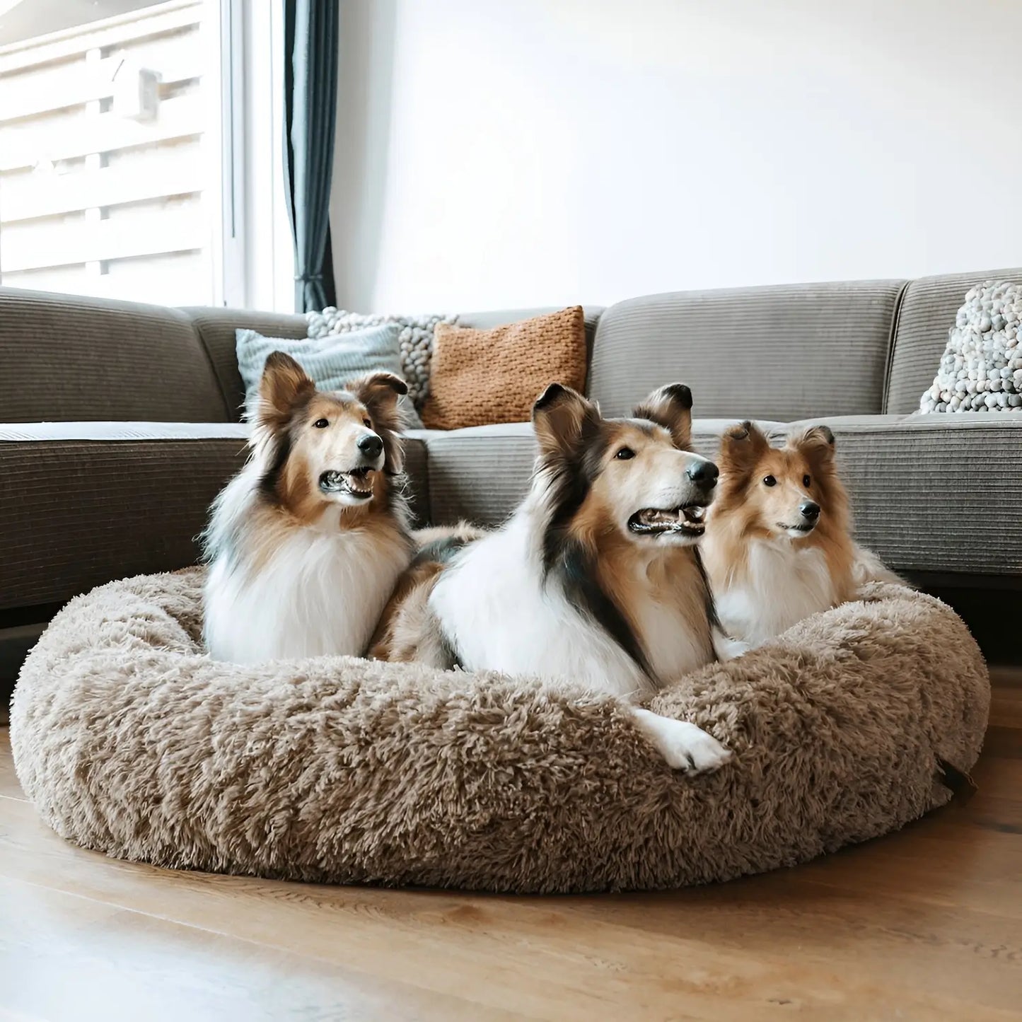Anxiety Relieving Dog Bed for Small to Medium Dogs