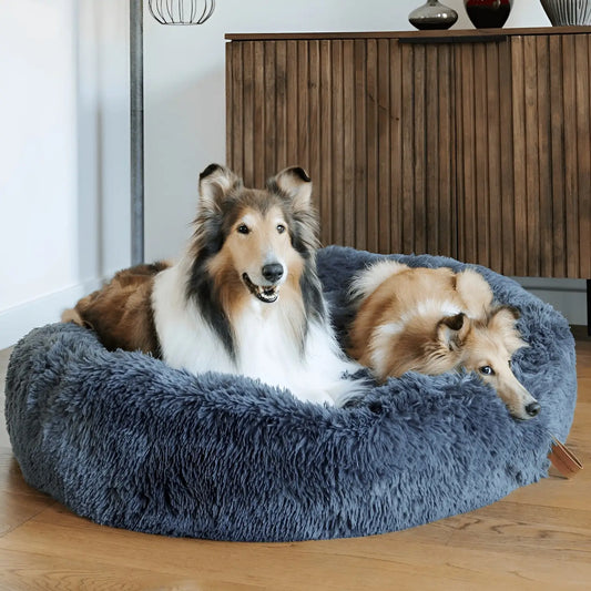 Anxiety Relieving Dog Bed for Small to Medium Dogs
