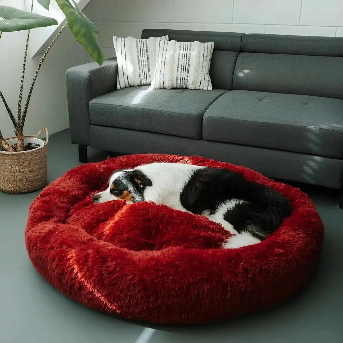 Anxiety Relieving Dog Bed for Small to Medium Dogs
