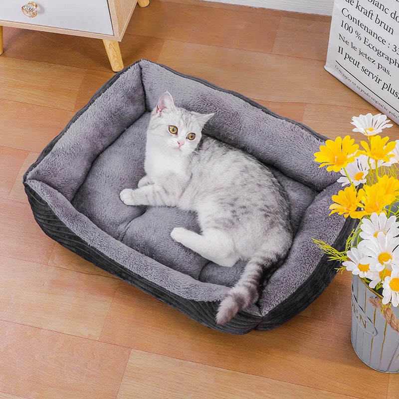 Bed for Dog Cat Pet Soft Square Plush Kennel Animals Accessories Dogs Basket Sofa Bed Larger Medium Puppy Pet Products Mattress 3