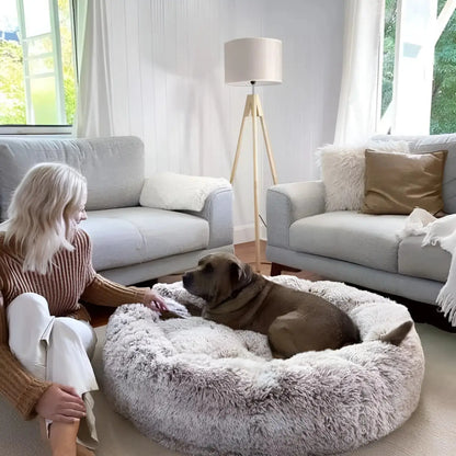 Anxiety Relieving Dog Bed for Small to Medium Dogs