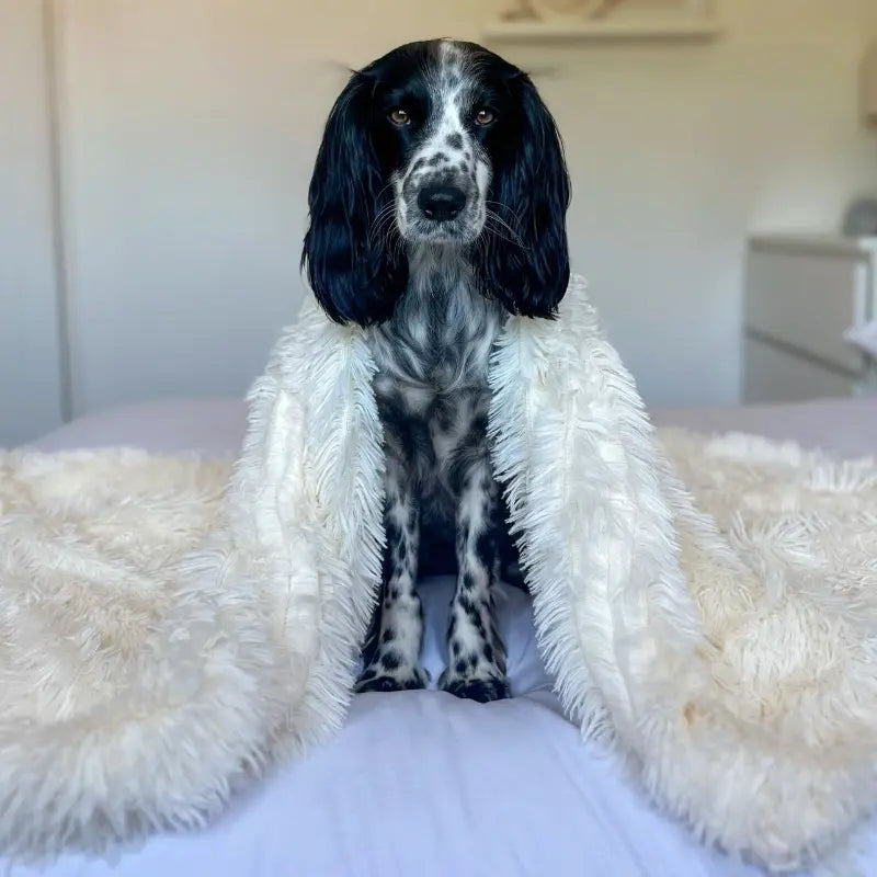 Anxiety Relieving Fluffy Pet Blanket Calming Comfort For Pets Soothing Anxiety And Stress