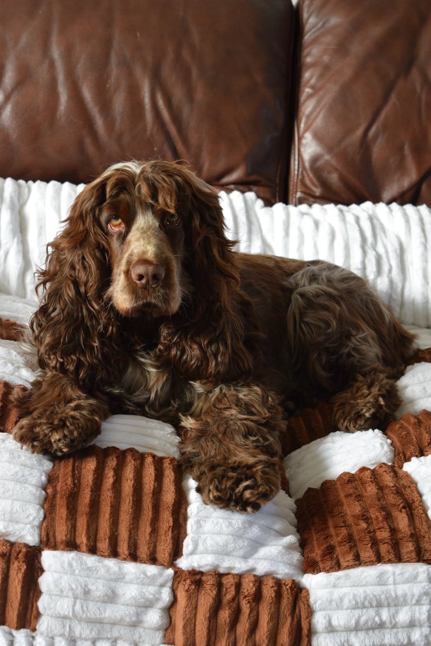 Plush Paws Co. Checkerboard Quilted Sofa Mat – Plush Furniture Protector & Pet Couch Bed