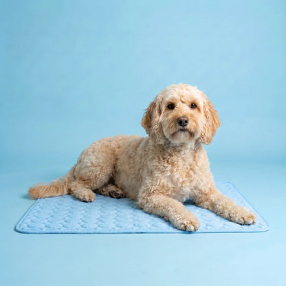 Plush Paws Co. Pressure-Activated Pet Cooling Mat – Gel-Free Washable Summer Sleeping Pad