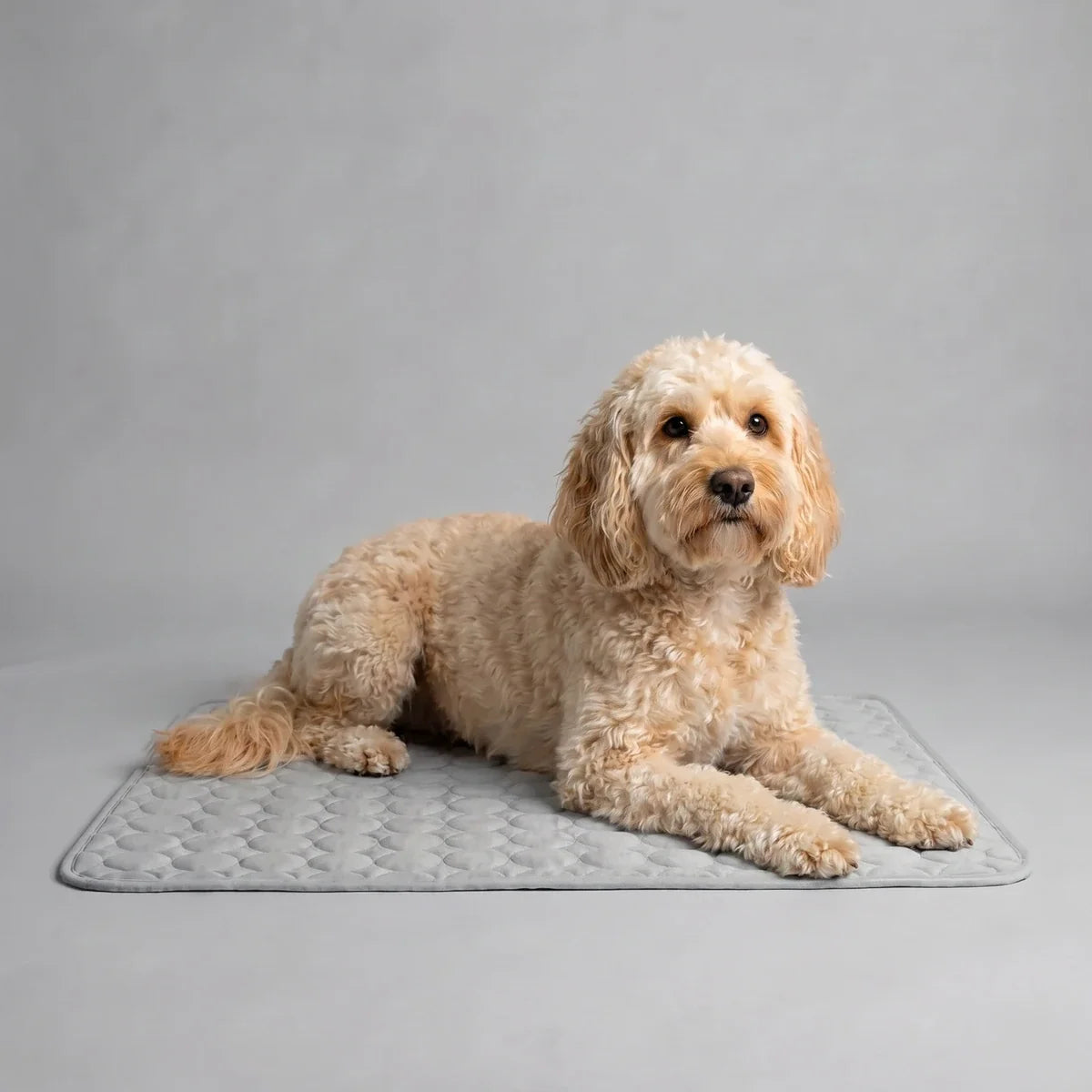 Plush Paws Co. Pressure-Activated Pet Cooling Mat – Gel-Free Washable Summer Sleeping Pad