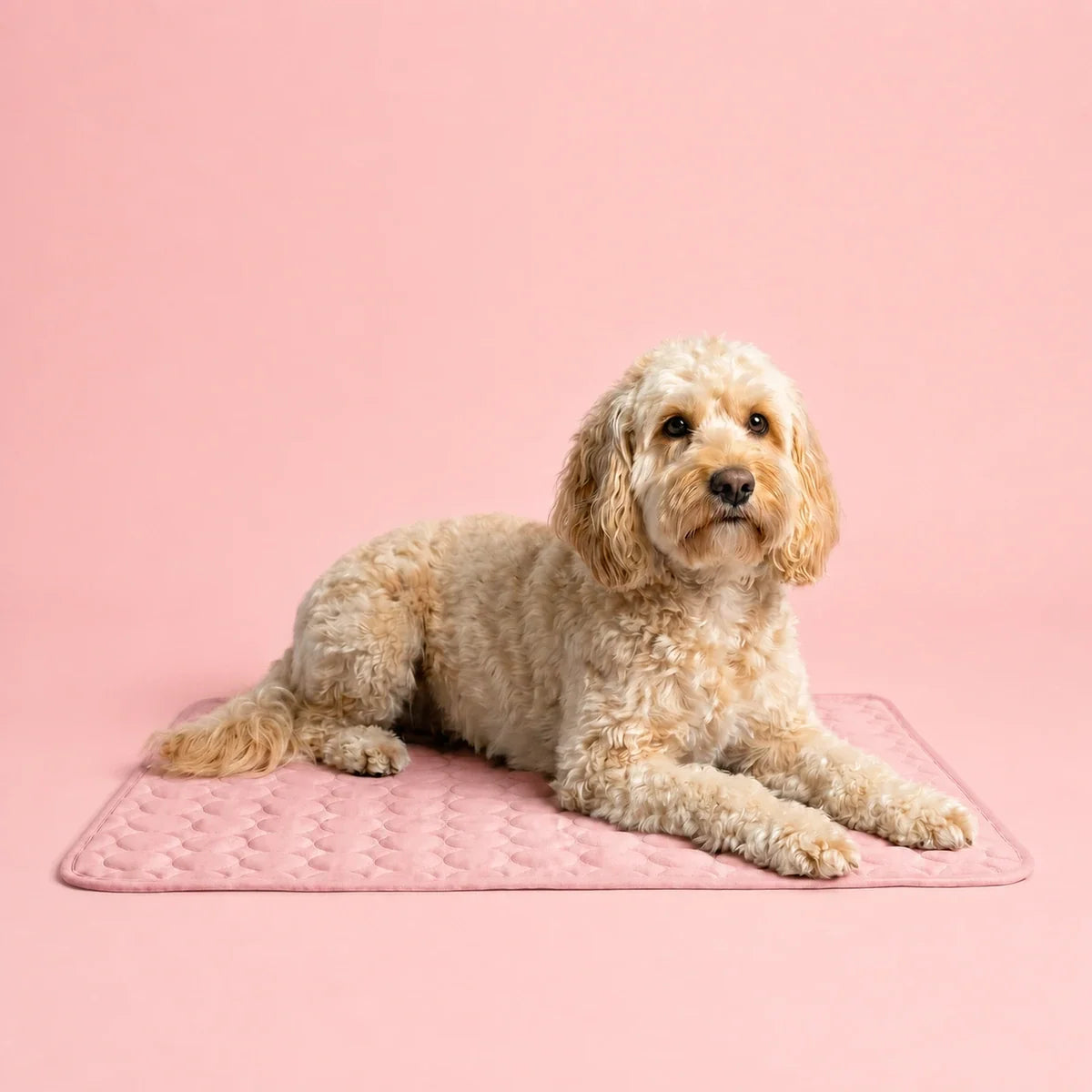 Plush Paws Co. Pressure-Activated Pet Cooling Mat – Gel-Free Washable Summer Sleeping Pad