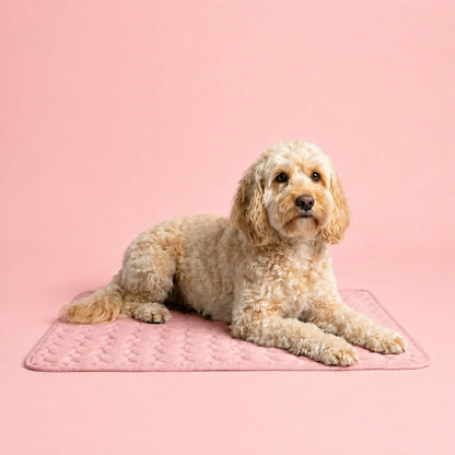 Plush Paws Co. Pressure-Activated Pet Cooling Mat – Gel-Free Washable Summer Sleeping Pad