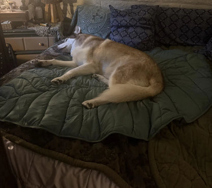 Plush Paws Co. Quilted Leaf Pet Blanket – Soft Cotton Padded Floor Mat & Couch Cover for Dogs & Cats