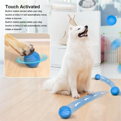 Electric Rolling Pet Toy Ball 5