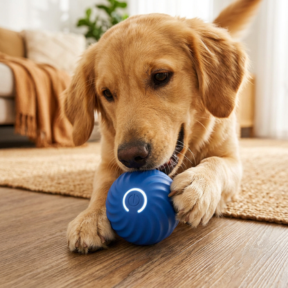 Plush Paws Co. Active Boredom Relief — Smart Automated Electric Rolling Pet Toy Ball Design