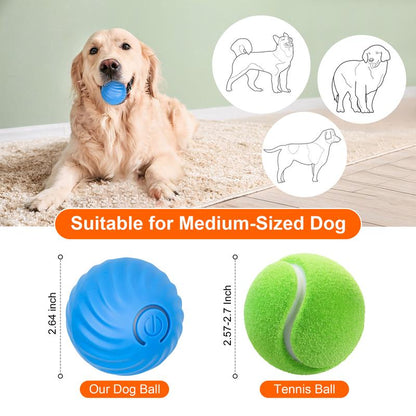 Electric Rolling Pet Toy Ball 1