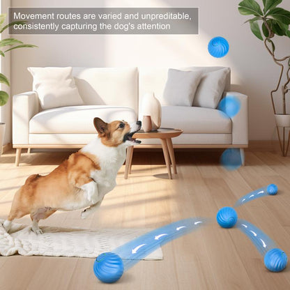 Electric Rolling Pet Toy Ball 2
