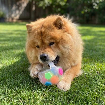 Durable toy ball for stress relief for dogs 0