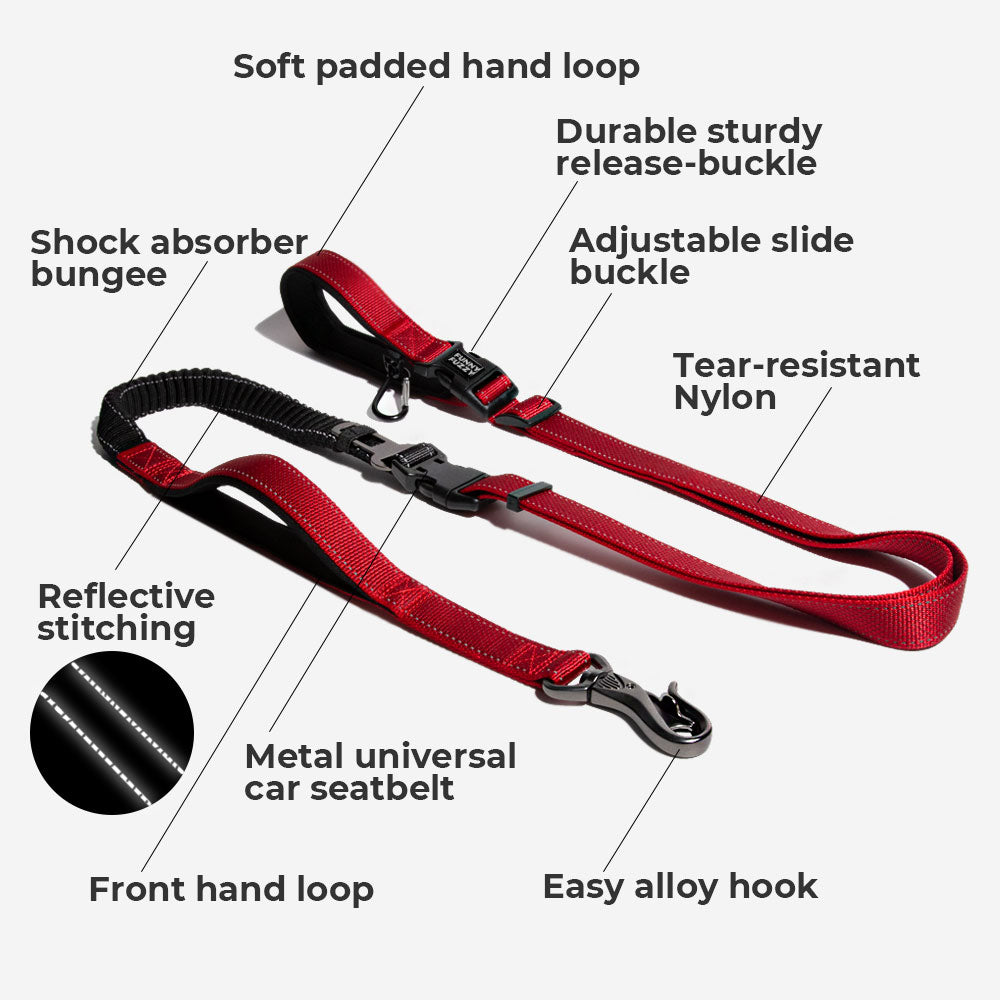Multifunction Hands Free Dog Leash With Safety Seat Belt 5