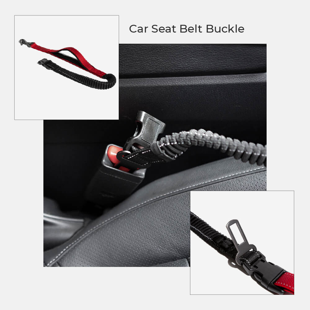 Multifunction Hands Free Dog Leash With Safety Seat Belt 7