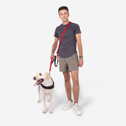 Multifunction Hands Free Dog Leash With Safety Seat Belt 8