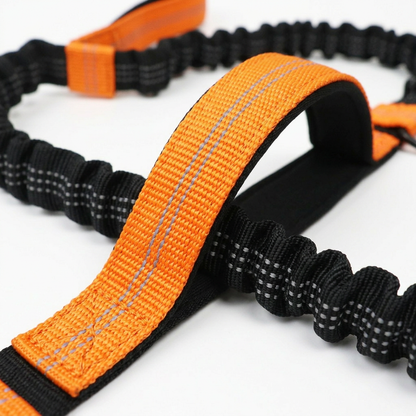 Plush Paws Co. Active Running Freedom — Hands-Free Dog Leash with Safety Seat Belt Design