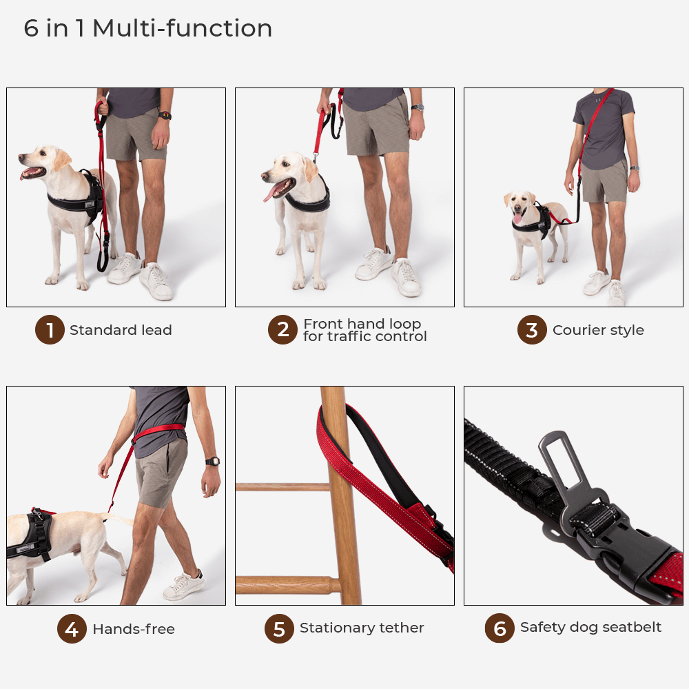 Multifunction Hands Free Dog Leash With Safety Seat Belt 4
