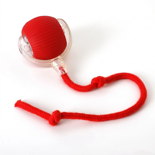 Plush Paws Co. Boredom-Busting Dog Toy — Interactive Roller Ball Design