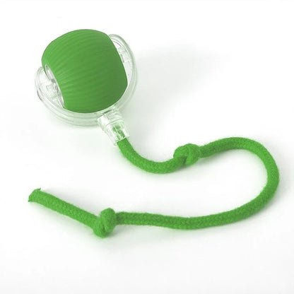Plush Paws Co. Boredom-Busting Dog Toy — Interactive Roller Ball Design