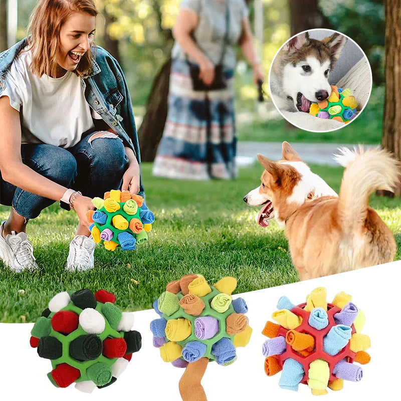 SnuffleMaster - Interactive Treat Game 1