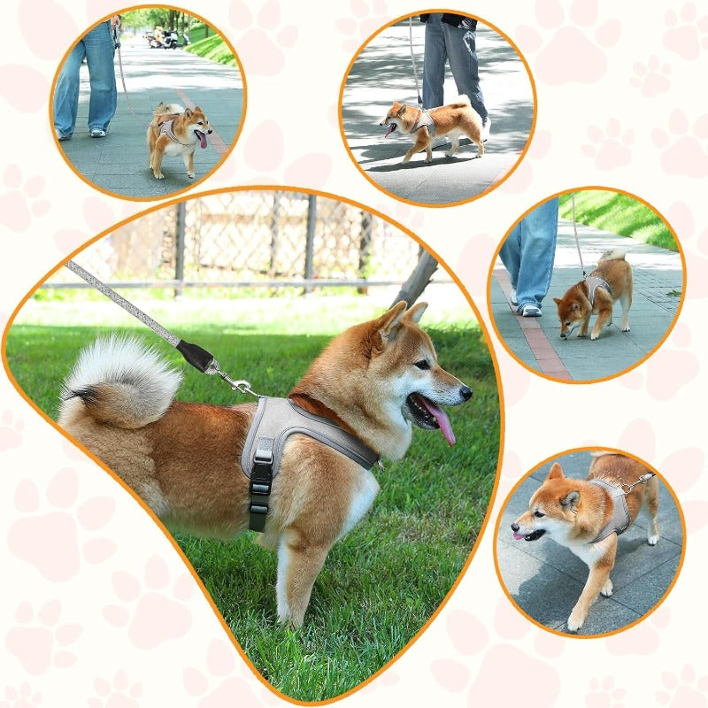 YoPoll Breathable Dog Harness with Reflective Leash 5