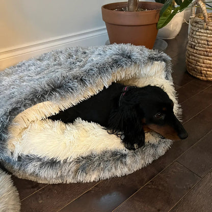Elara Haus Dog Bed - Plush Half-Covered Sanctuary for Cats and Dogs 1
