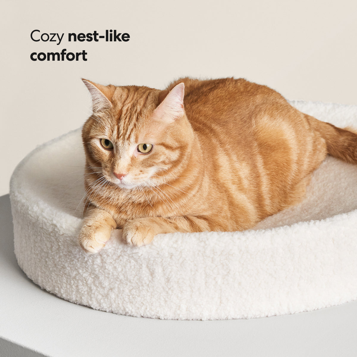 Kip Cat Bed 5