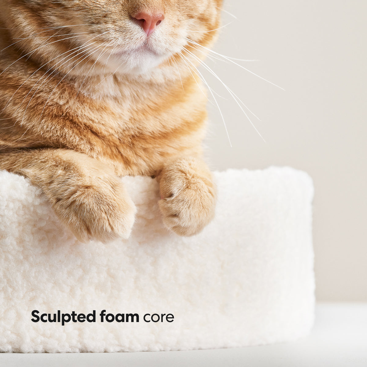 Kip Cat Bed 7