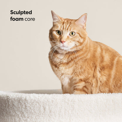 Kip Cat Bed 8