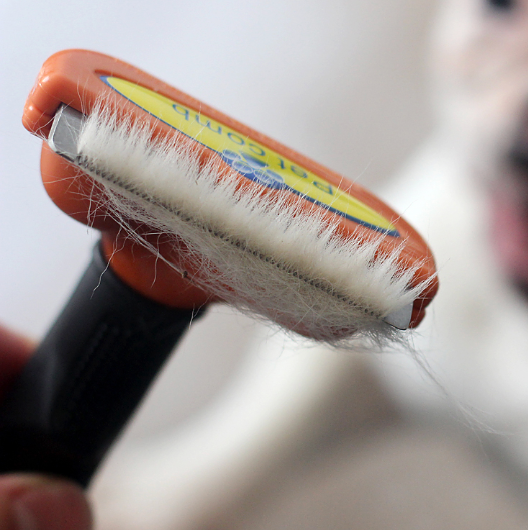 Combify TM - Frenchie Comb (CS01) 5