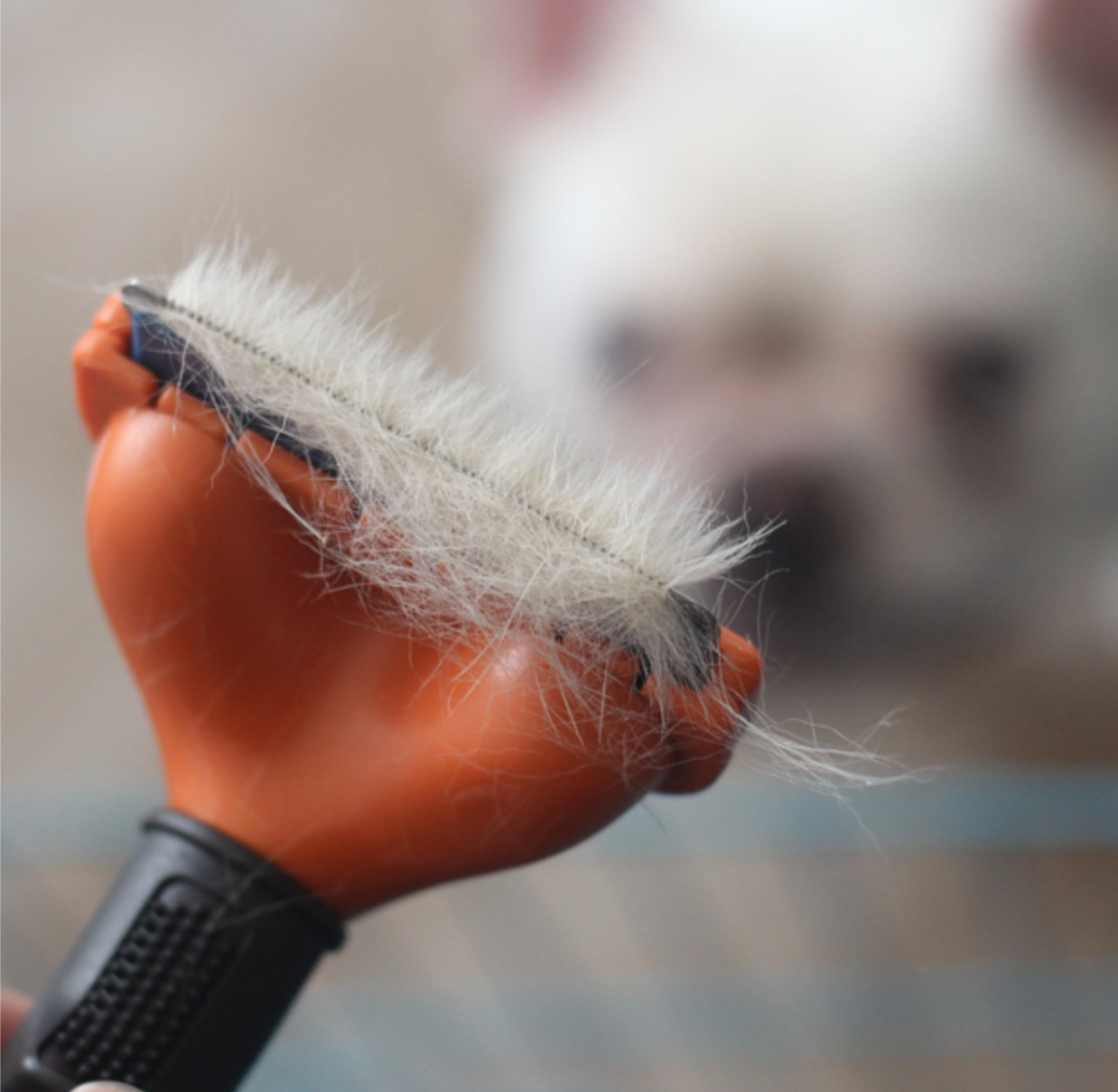 Combify TM - Frenchie Comb (CS01) 7