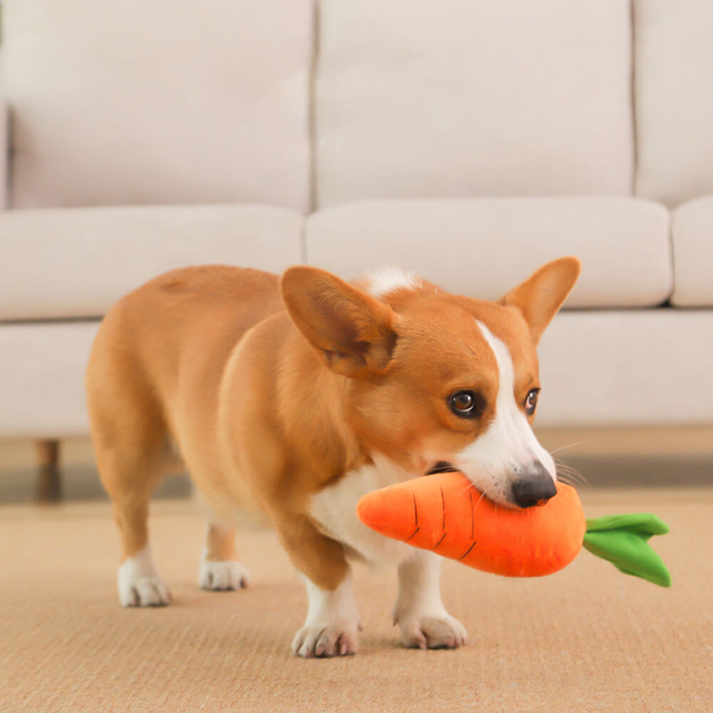 Carrot Squeaky Plush Toy Dog Interactive Toy 0