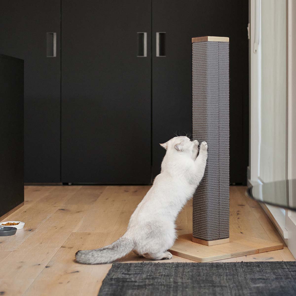 Zip Scratching Post 5