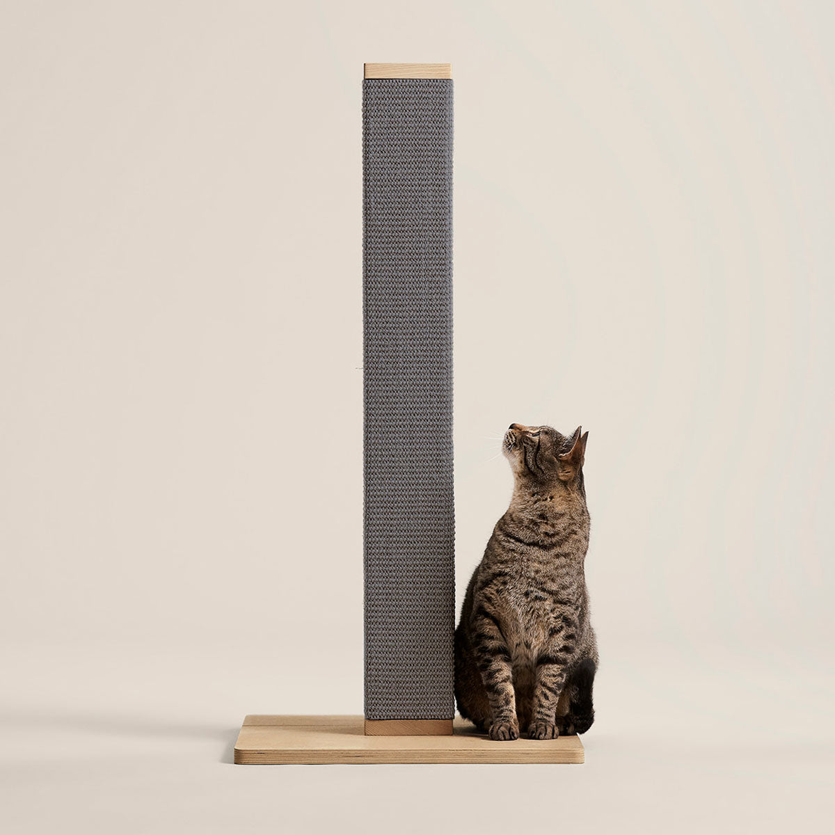 Zip Scratching Post 0