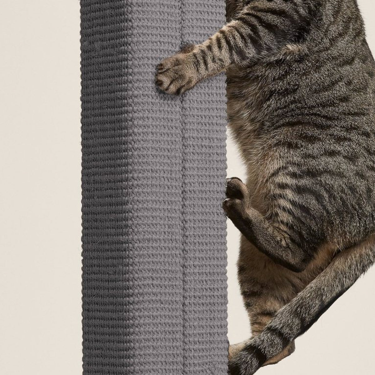Zip Scratching Post 1