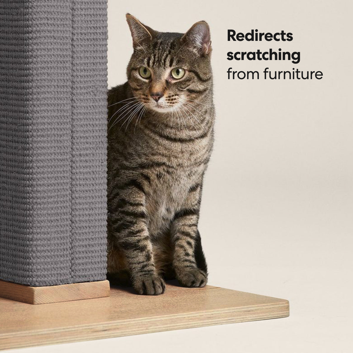 Zip Scratching Post 4