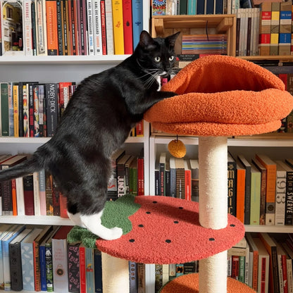 Plush Paws Co. Fruity Garden Cat Climbing Tree – Multi-Level Tower with Watermelon & Orange Perches
