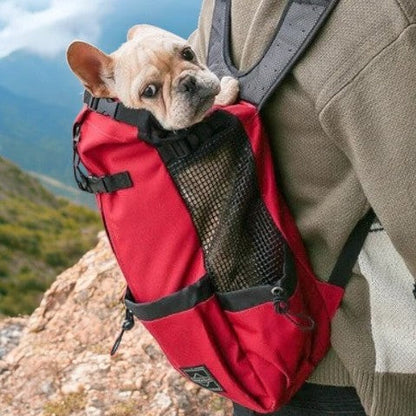 Frenchie Backpack™ [V1] (CS03) 5