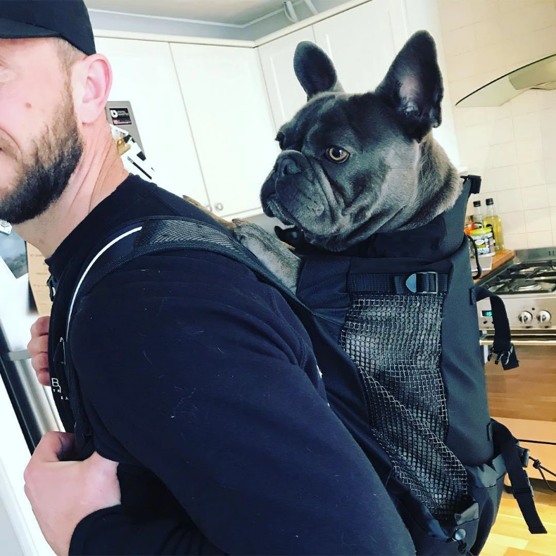 Frenchie Backpack™ [V1] (CS03) 8