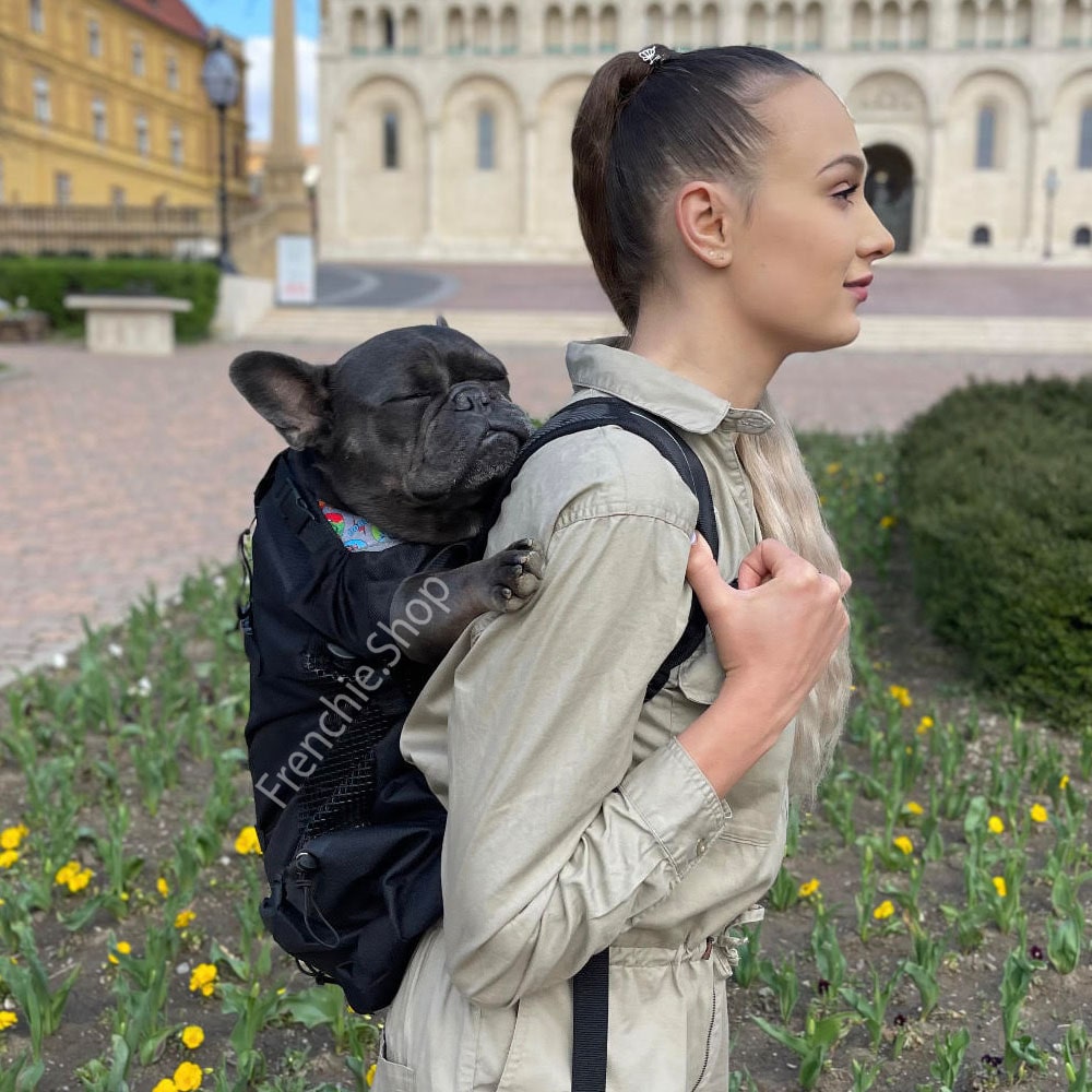 Frenchie Backpack™ [V1] (CS03) 4