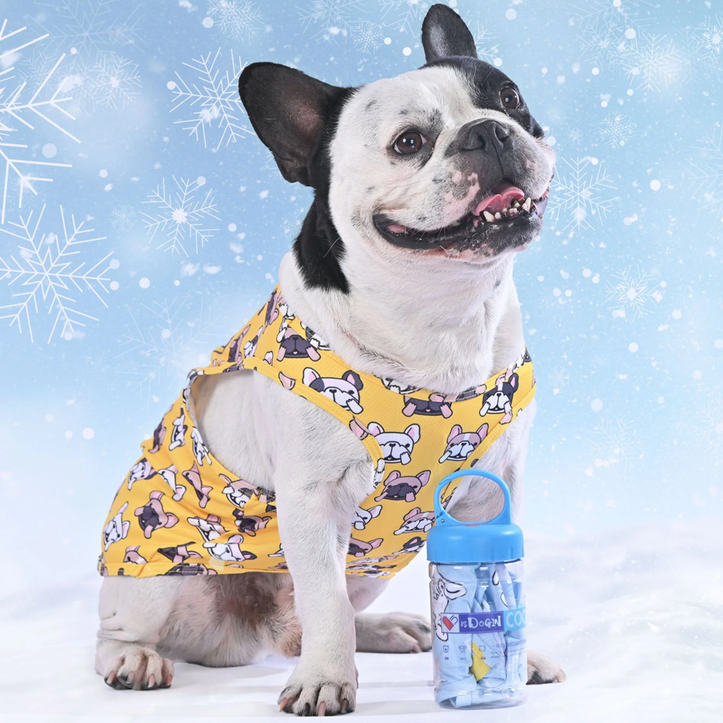 Coolify™: Summer Cooling Vest (CS17) 2