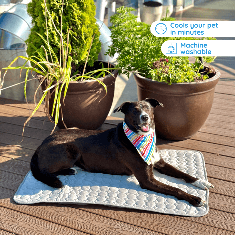 MrFluffyFriend™ - Ultimate Cooling Mat for Pets 0