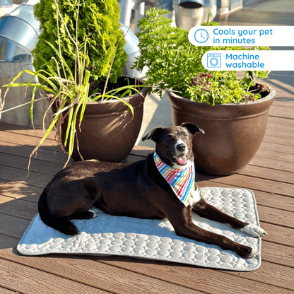 MrFluffyFriend™ - Ultimate Cooling Mat for Pets 0