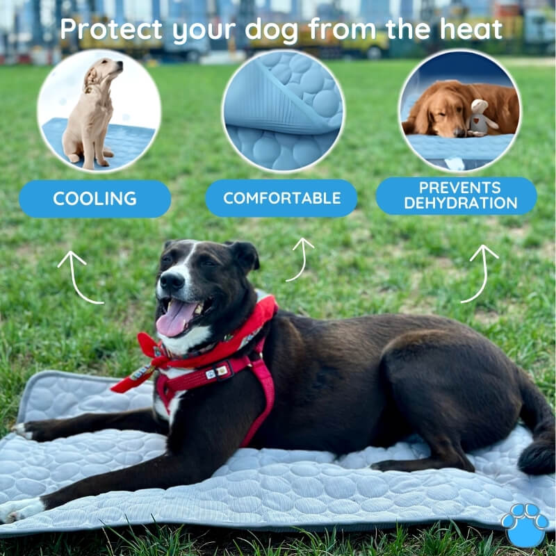 MrFluffyFriend™ - Ultimate Cooling Mat for Pets 1