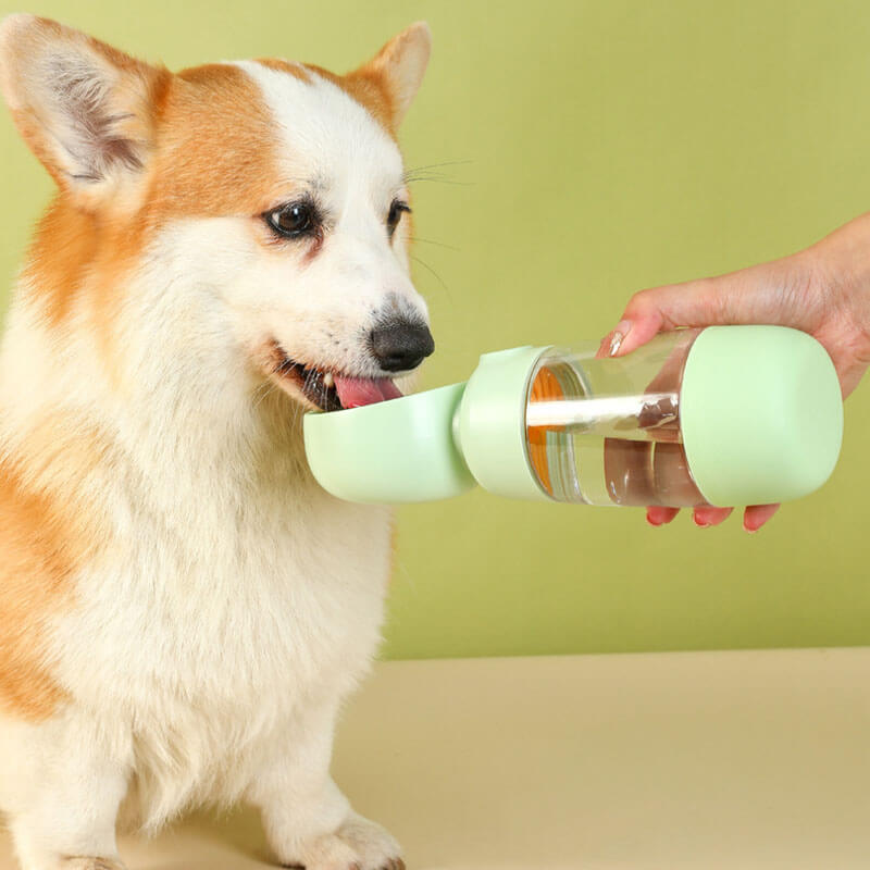 2 in 1 Portable Outdoor Dog Water Bottle 2